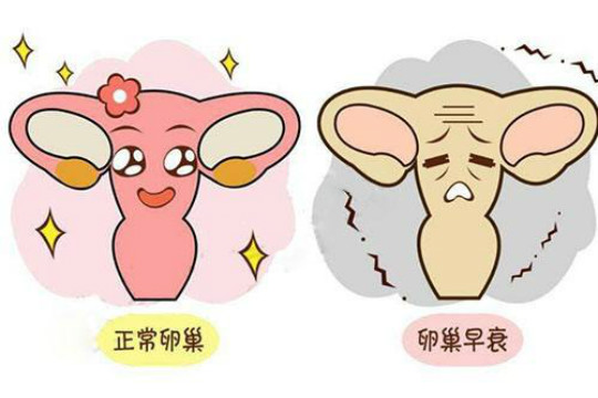 卵巢早衰做泰国试管婴儿可以成功吗？